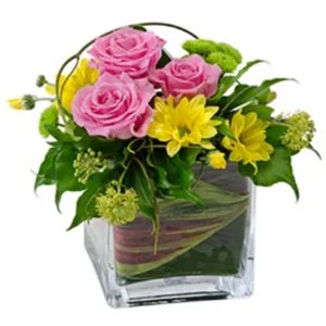 Joy  - Mixed Arrangements in a Glass Cube