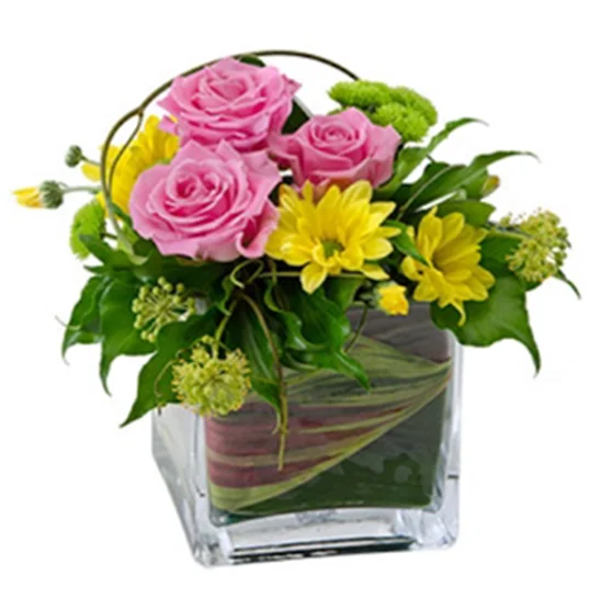 Joy  - Mixed Arrangements in a Glass Cube