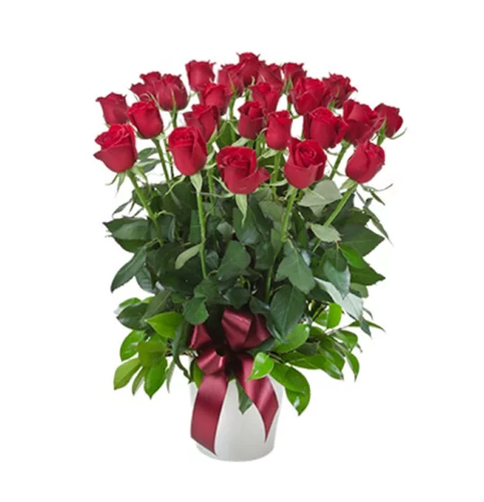 Impulse - Arrangement of 12 / 24 Red Roses in a Ceramic Pot