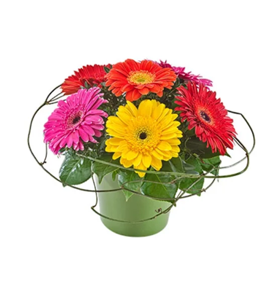 Floral Arrangements