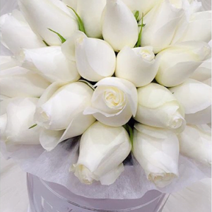 white-roses