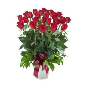 Impulse - Arrangement of 12 / 24 Red Roses in a Ceramic Pot