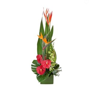 Florists Brunswick