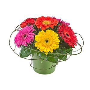 Floral Arrangements