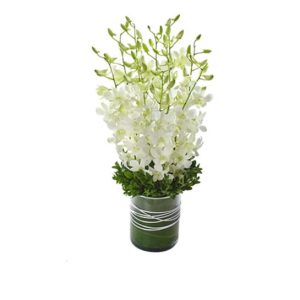 Flower Delivery Carrum Downs