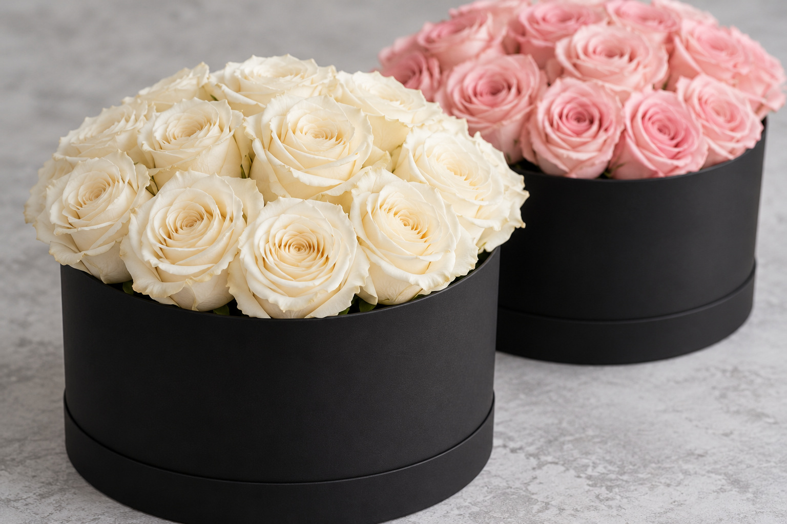 Ivory and blush pink roses presented in separate black gift boxes.